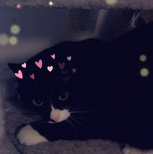 Meet your Posher, Kaylee pearce